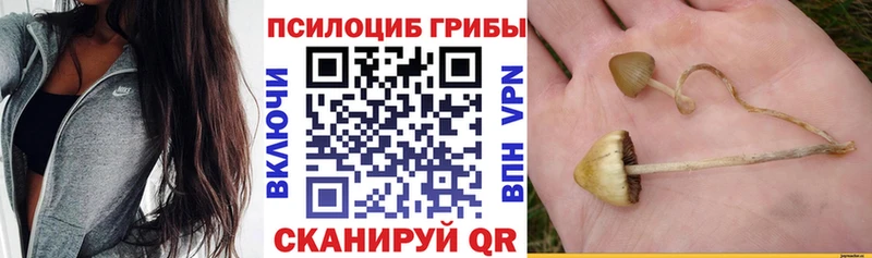Галлюциногенные грибы мицелий Киселёвск