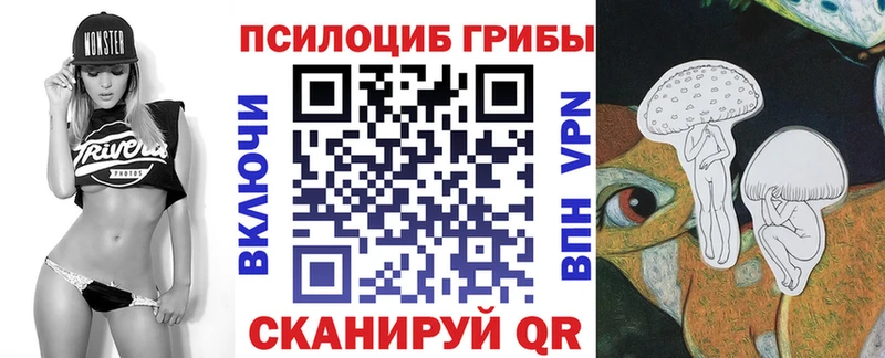 Галлюциногенные грибы мухоморы  Купить закладки  Киселёвск 